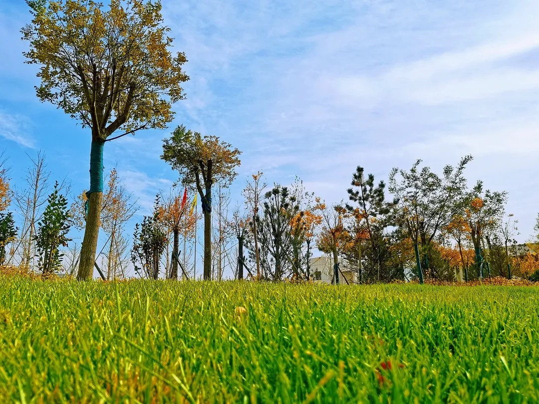 新利luck18体育·(中国集团)-官方网站